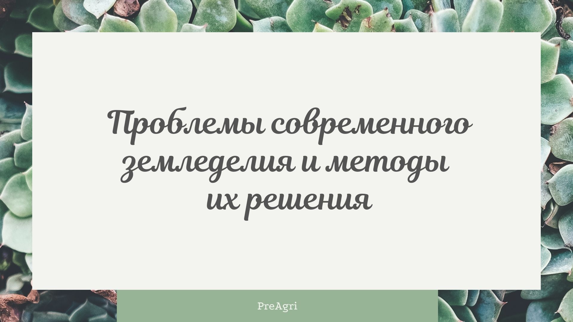 Проблемы земледелия