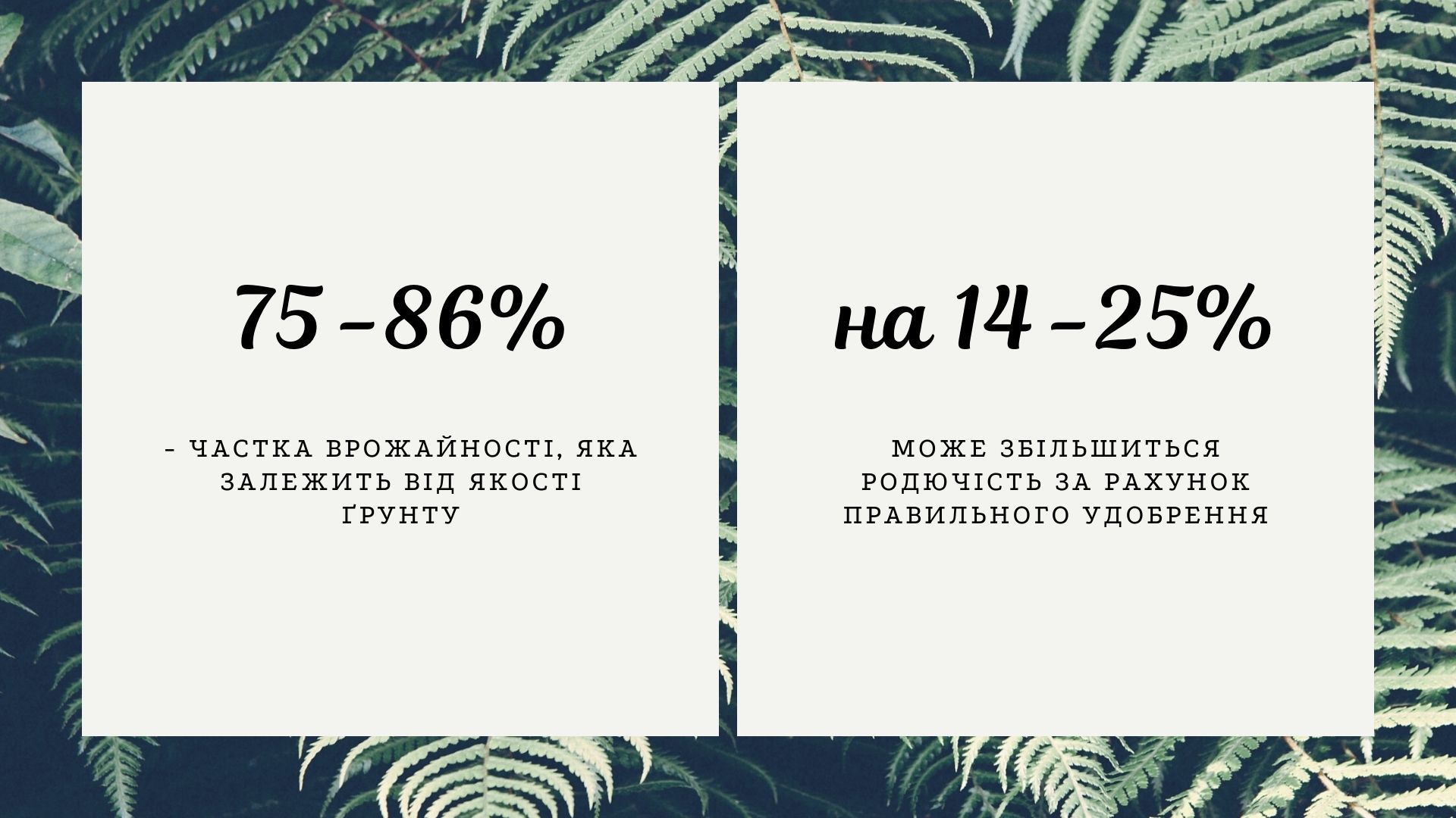 Від чого залежить врожайність, плодючість ґрунту